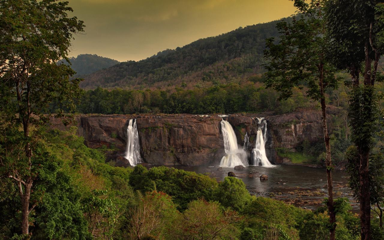 Rainforest Resort Athirappilly Exterior foto