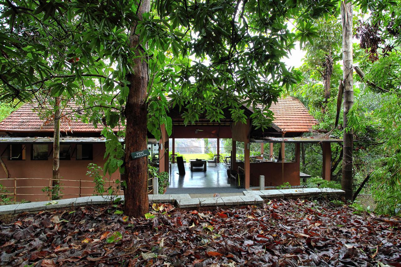 Rainforest Resort Athirappilly Exterior foto