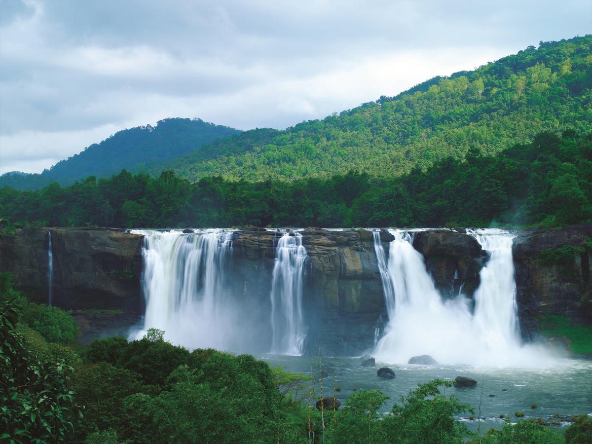 Rainforest Resort Athirappilly Exterior foto